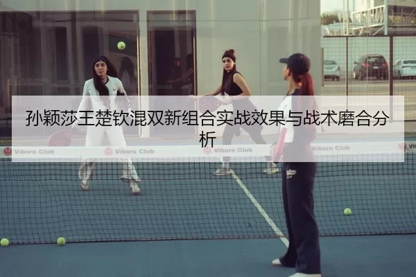 sun-ying-sha-wang-chu-qin-hun-shuang-xin-zu-he-shi-zhan-xiao-guo-yu-zhan-shu-mo-he-fen-xi-3-428.jpg